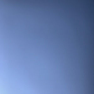 Meet your Posher, Shane